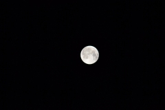 Luna ore 01:14